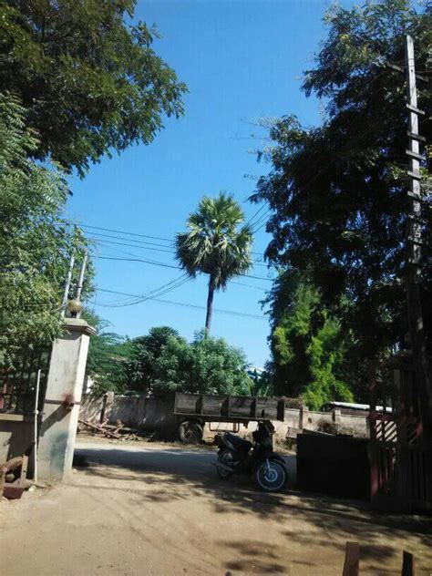 အောကား|အော်ကာ .